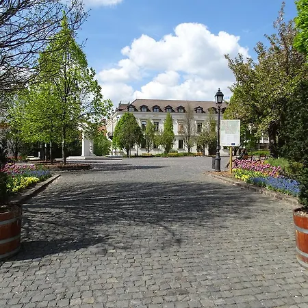 Ovaros *