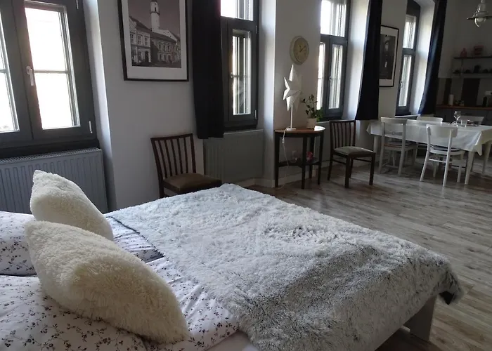 Διαμέρισμα Ovaros